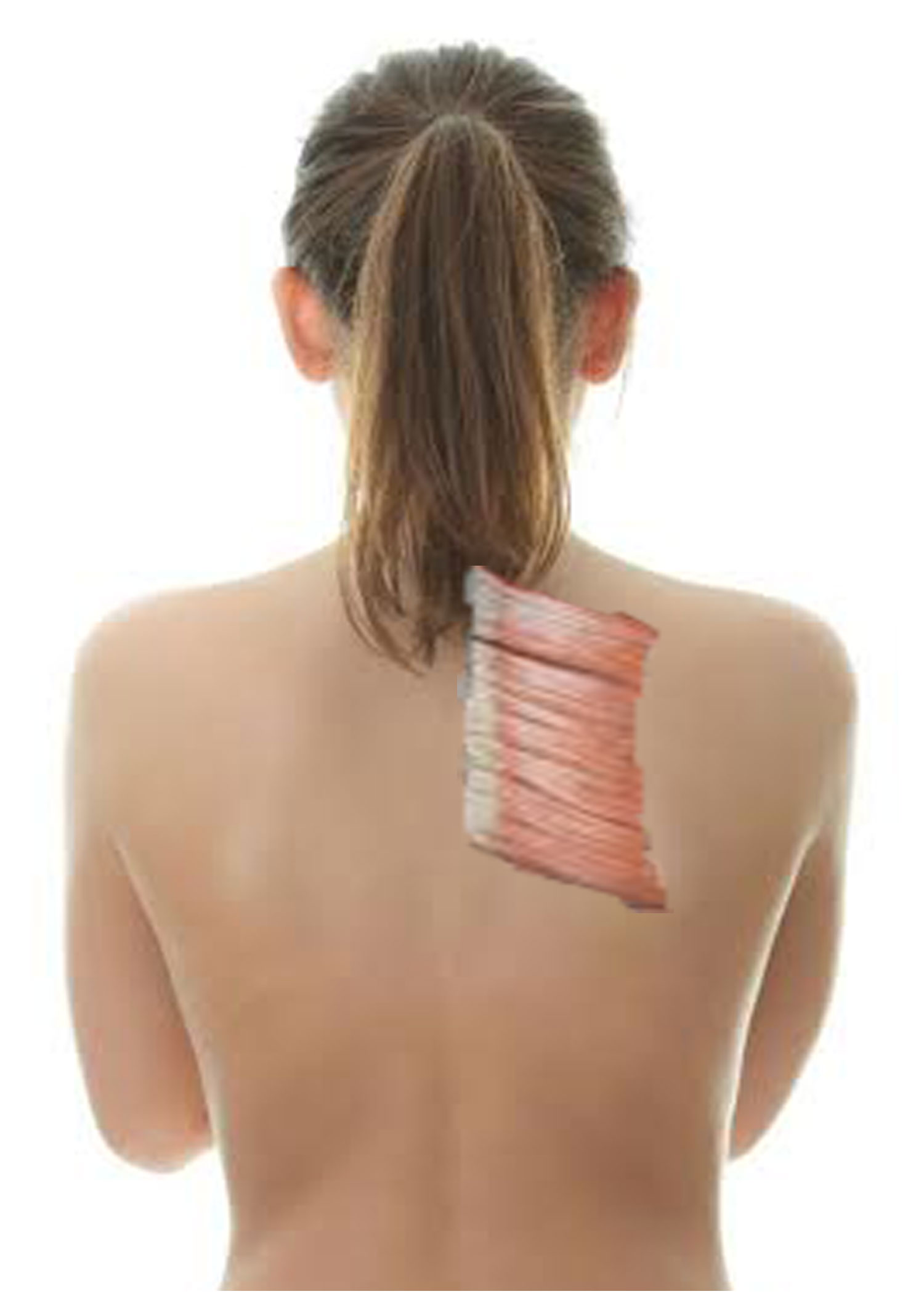 SELF MASSAGE for SHOULDER BLADE AREA TENSION and PAIN RELIEF
