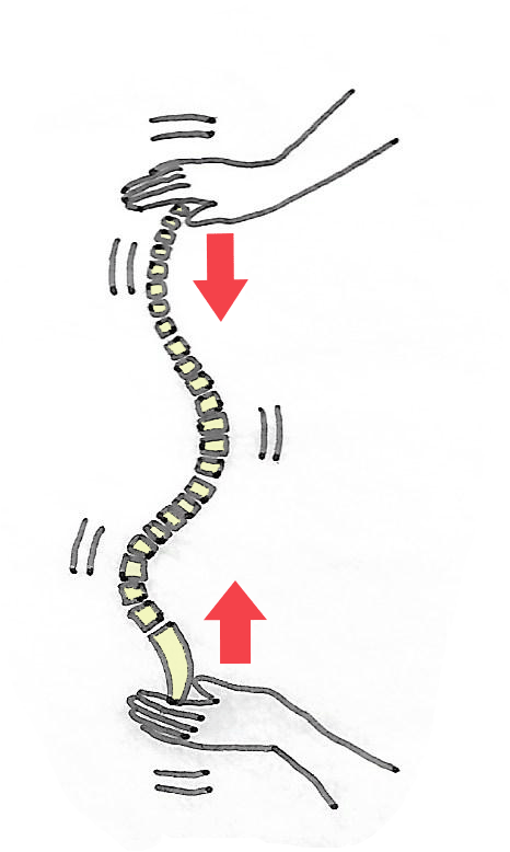 spinal-curves-shock